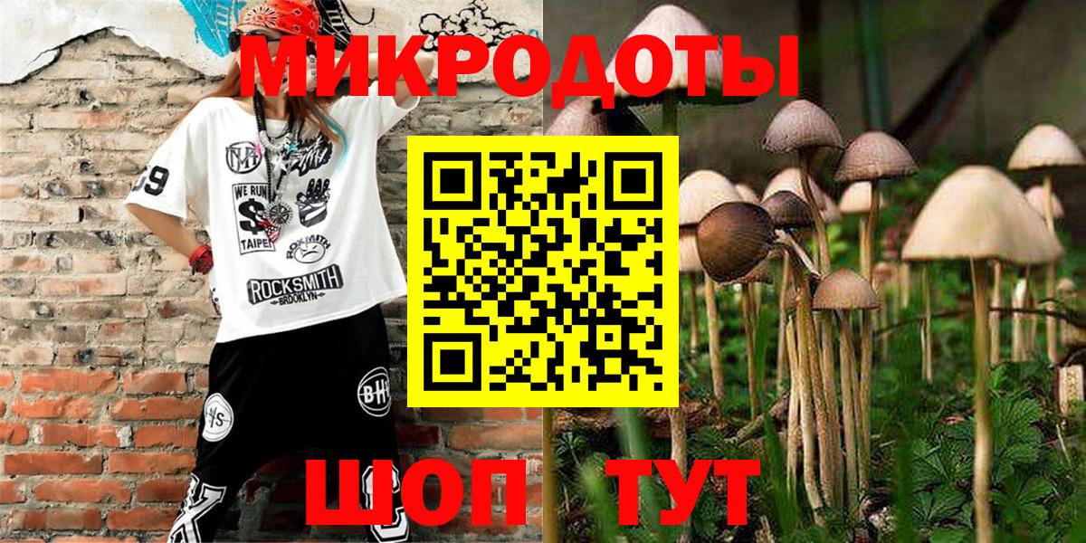 Якутск  Галлюциногенные грибы Psilocybe  Вход с VPN 